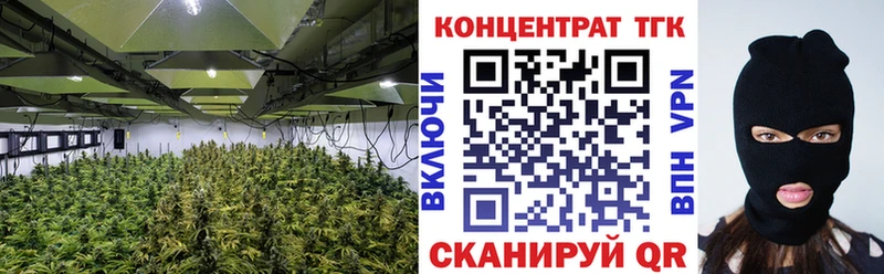 наркота  Ленинградская  МЕГА сайт  ТГК концентрат 