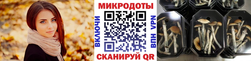 Псилоцибиновые грибы MAGIC MUSHROOMS  цены наркотик  Ленинградская 