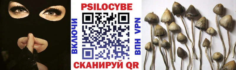 Псилоцибиновые грибы прущие грибы Ленинградская
